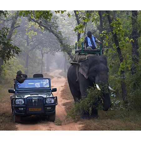 Samode Safari Lodge Parasi ภายนอก รูปภาพ