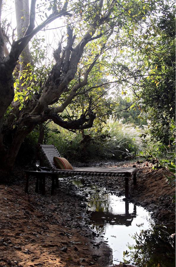 Samode Safari Lodge Parasi ภายนอก รูปภาพ