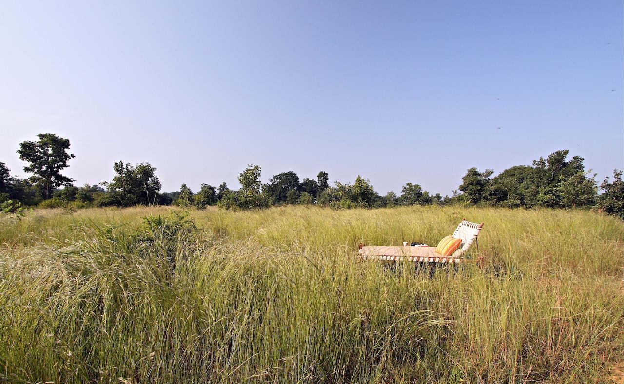 Samode Safari Lodge Parasi ภายนอก รูปภาพ