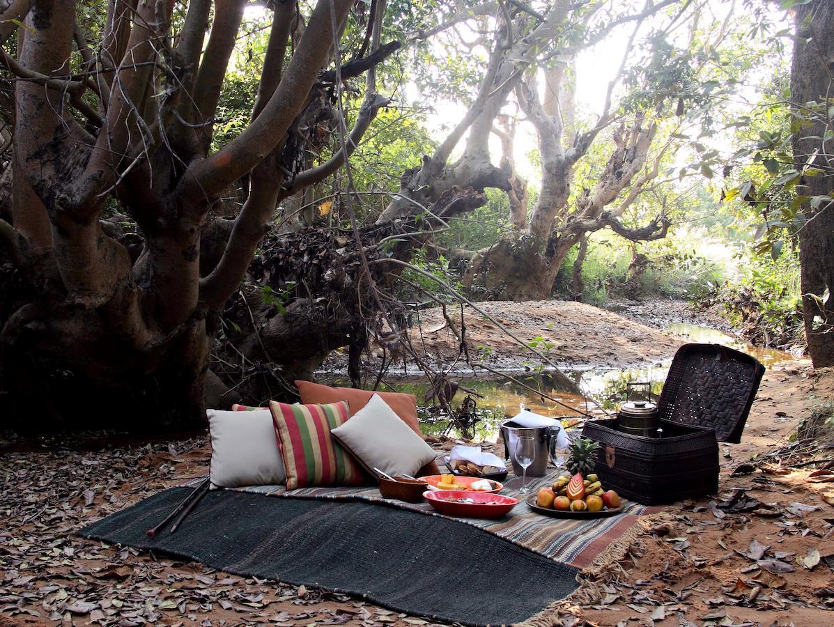 Samode Safari Lodge Parasi ภายนอก รูปภาพ