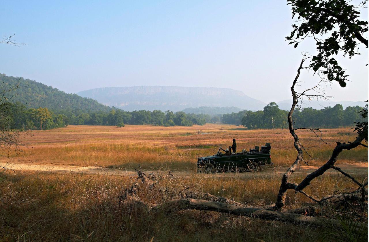 Samode Safari Lodge Parasi ภายนอก รูปภาพ